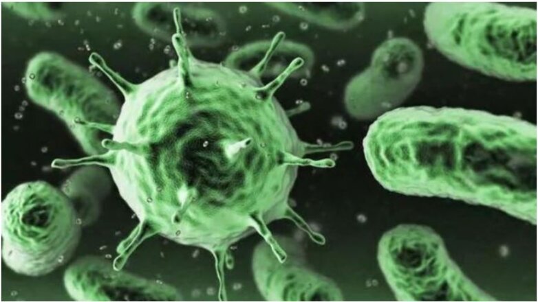 Συναγερμός για τη μικροβιακή αντοχή: 4 στους 10 Έλληνες έχουν λάβει αντιβιοτικά τον τελευταίο χρόνο