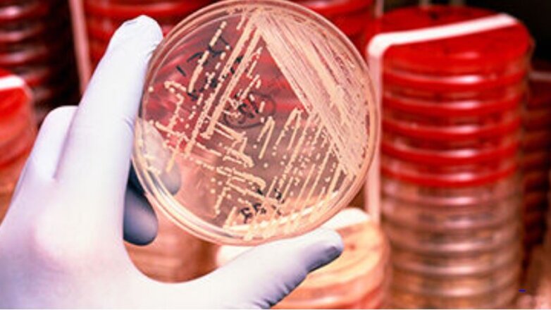 Πειραματική mRNA θεραπεία καταπολεμά λοιμώξεις ανθεκτικές στα αντιβιοτικά