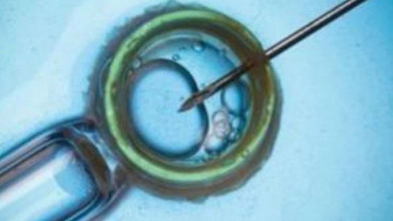 Η ψυχολογική πλευρά της κρυοσυντήρησης ωαρίων: Ελευθερία, έλεγχος και συναισθηματικές προκλήσεις