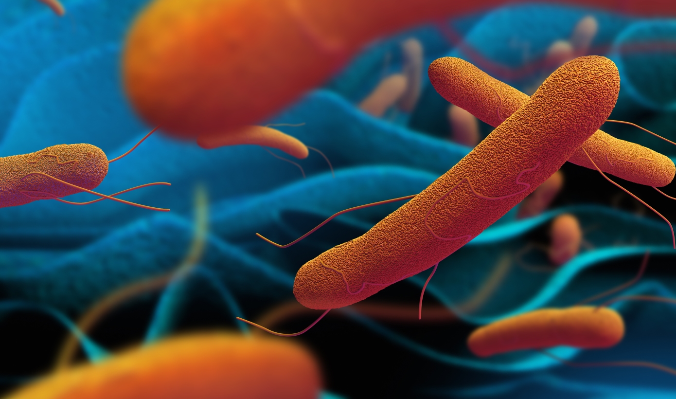 Αυτό το αρχαίο δολοφονικό βακτήριο γίνεται ανθεκτικό στα αντιβιοτικά, προειδοποιούν οι επιστήμονες