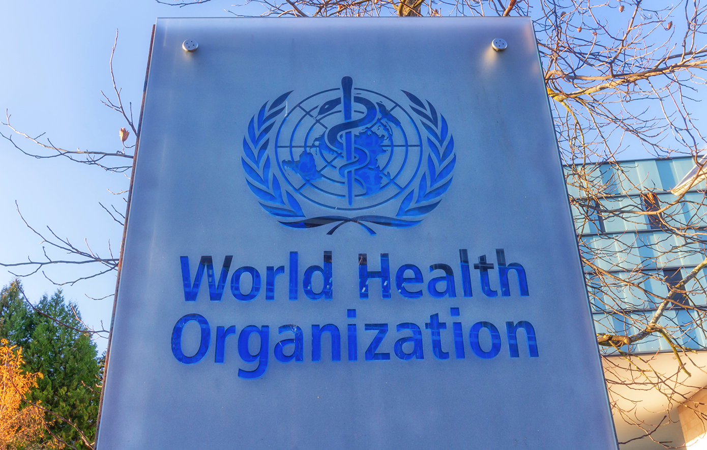 Αυξήθηκαν το 2024 οι θάνατοι από ελονοσία – Η προειδοποίηση του ΠΟΥ