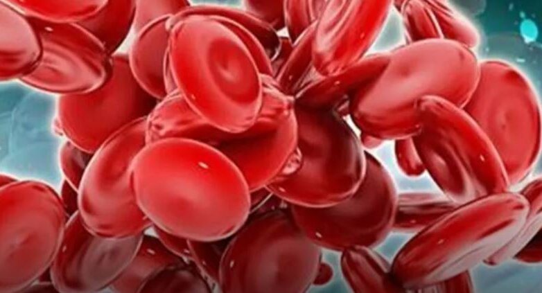 Πολλαπλούν μυέλωμα: Ισχυρή αποτελεσματικότητα του συνδυασμού Teclistamab με Daratumumab