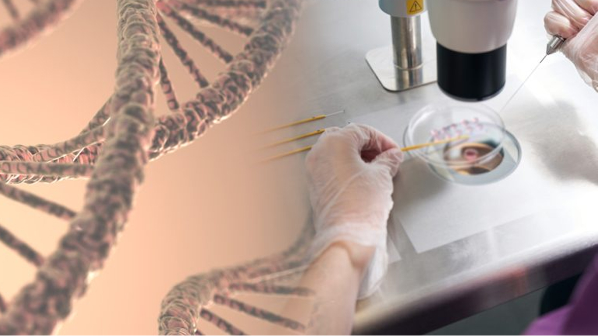 Αγωνία για τις 11 οικογένειες στην Ελλάδα με το μολυσμένο σπέρμα του Δανού δότη